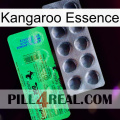 Kangaroo Essence new04